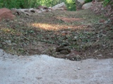 Black Bear left a calling card