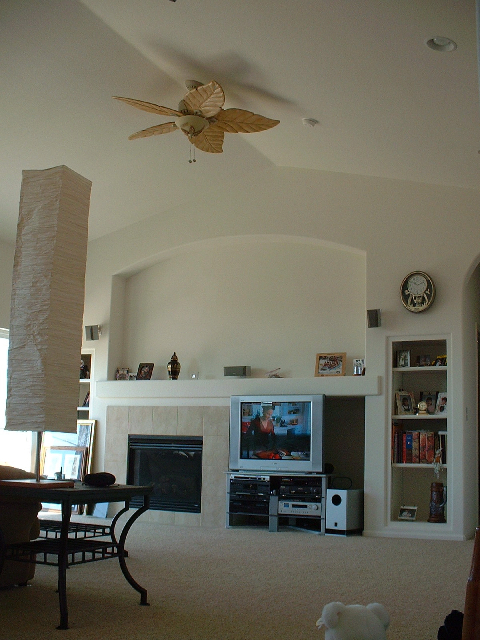 Ceiling fan