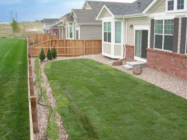 Backyard after landscaping