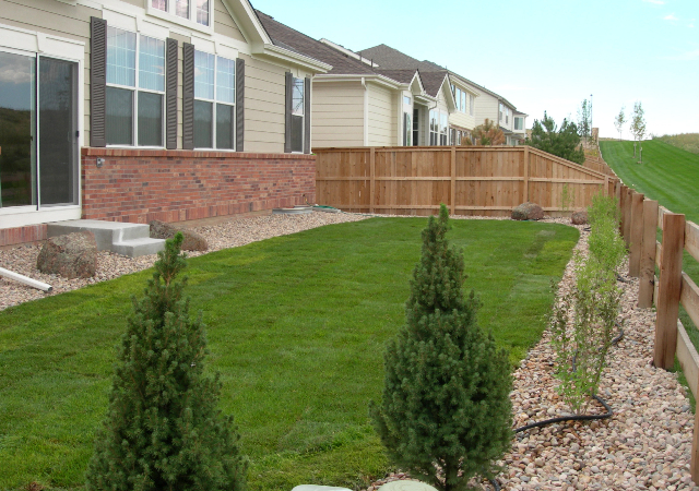 Miniature pines and shrubbery